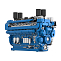 Baudouin 16M55G3750/5 053531